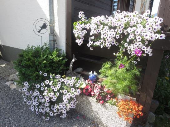 Bed and Breakfast Haus Ebner Pension 11