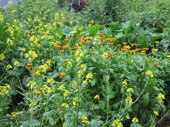 Bed and Breakfast Haus Ebner Pension 19