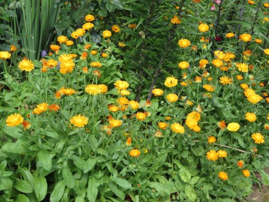 Bed and Breakfast Haus Ebner Pension 4