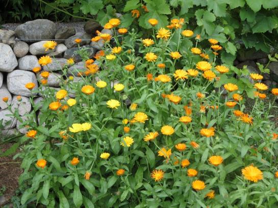 Bed and Breakfast Haus Ebner Pension 6