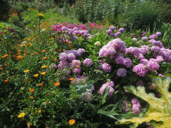 Bed and Breakfast Haus Ebner Pension 9