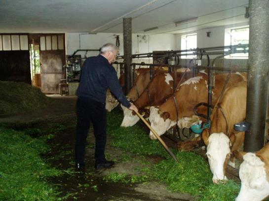 Bed & Breakfast Pension Puehringer