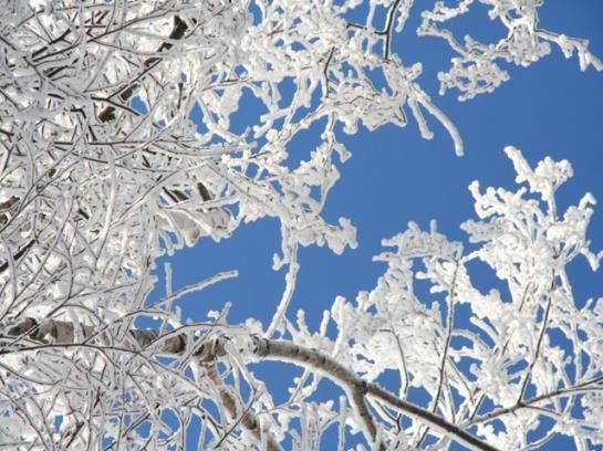 Pension Appartements Ronacherhof 6