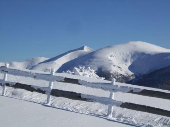 Pension Appartements Ronacherhof 9