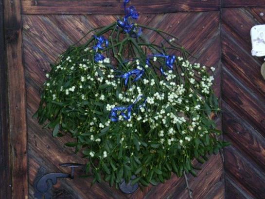 Bauernhof Tengghof 10