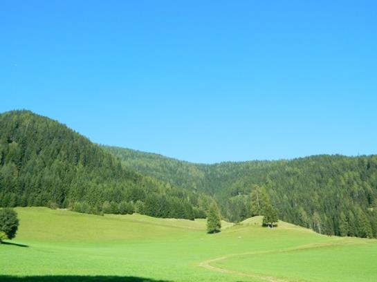 Bauernhof Tengghof 12