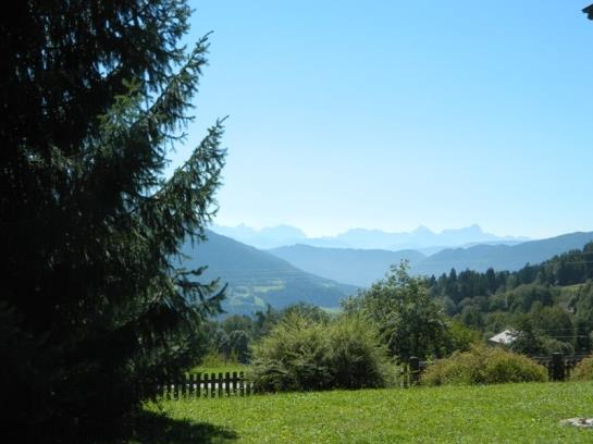 Bauernhof Tengghof 2