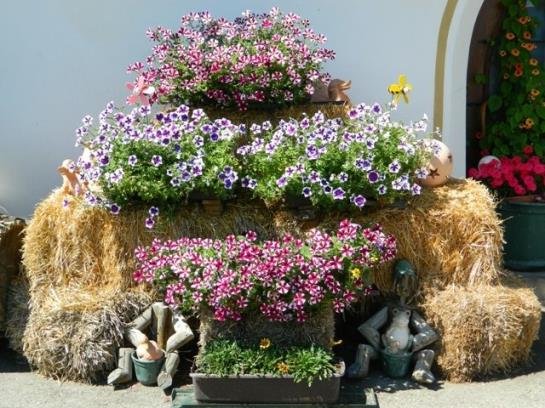 Bauernhof Tengghof 7