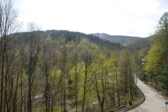 Hotel Beskidy Park 3