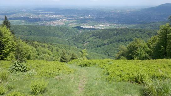 Hotel Beskidy Park 4