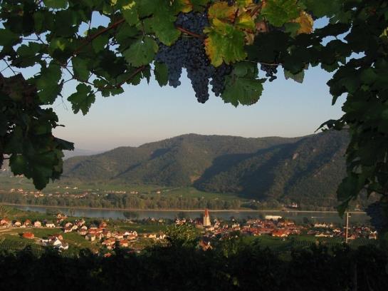 Pension Bernhard Gästehaus-winzerhof 3