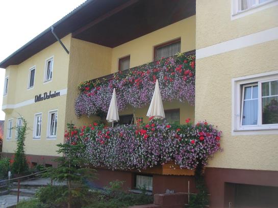 Villa Daheim Pension