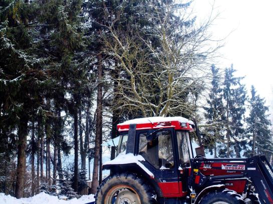 Bauernhof Waldesruh 2