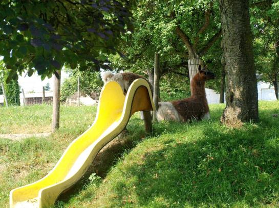 Bauernhof Waldesruh 4