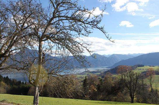 Bed & Breakfast Berggasthaus - Pension Urzn