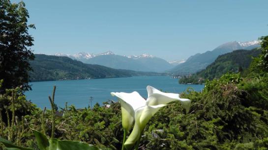 Hotel Zum Muehlrad 4