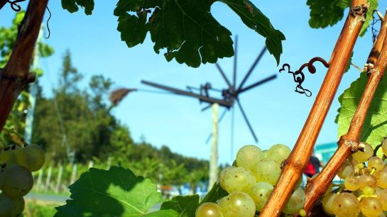 Stainzerhof Hotel Restaurant 1