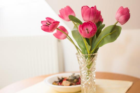 Bed and Breakfast Besser Pension 18