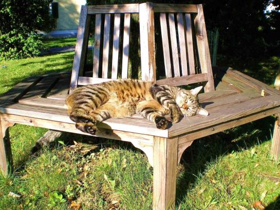 Hotel Obsthof Brandl 6