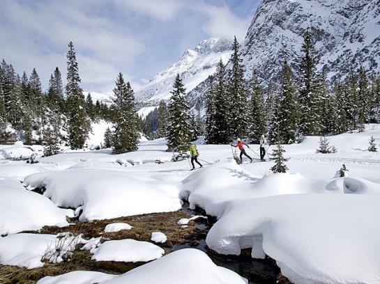 Bed & Breakfast Pension Widderstein