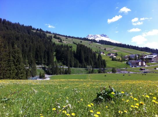 Bed & Breakfast Pension Daniel