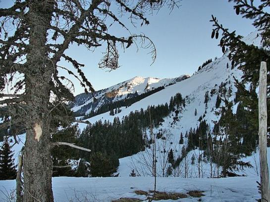 Hotel Ferienhof Metzler 10