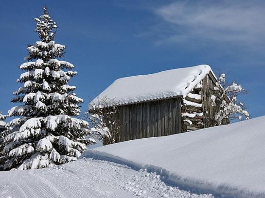 Hotel Ferienhof Metzler 13