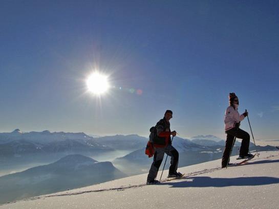 Hotel Ferienhof Metzler 17