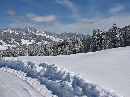 Hotel Ferienhof Metzler 2