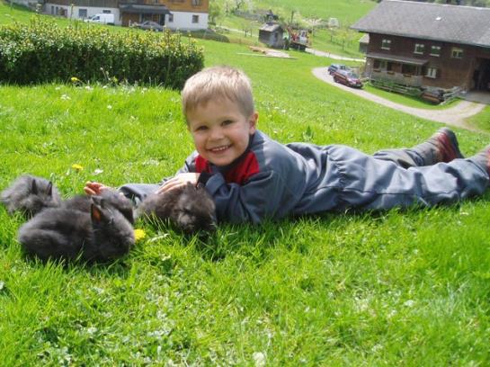 Hotel Ferienhof Metzler 4