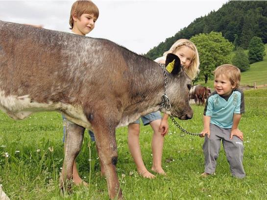 Hotel Ferienhof Metzler 7