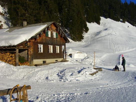 Hotel Panoramahuetten Sonderdach 1