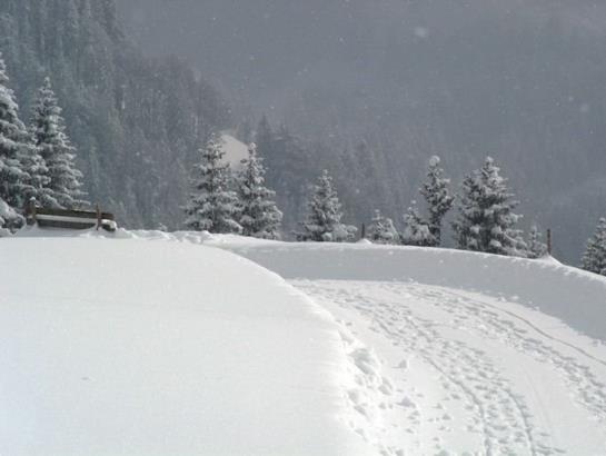 Hotel Panoramahuetten Sonderdach 11