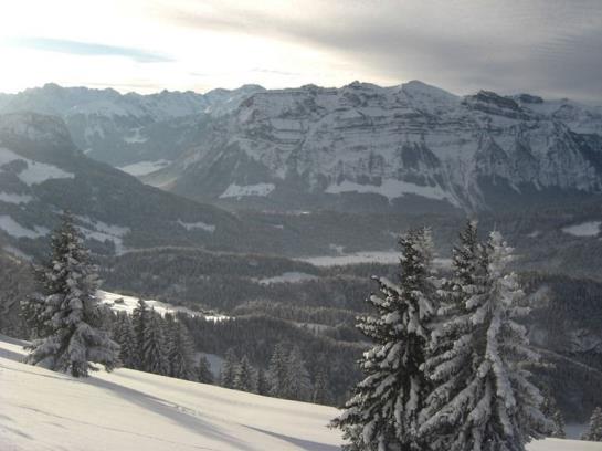 Hotel Panoramahuetten Sonderdach 12