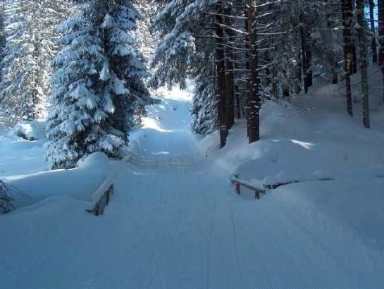 Hotel Panoramahuetten Sonderdach 2