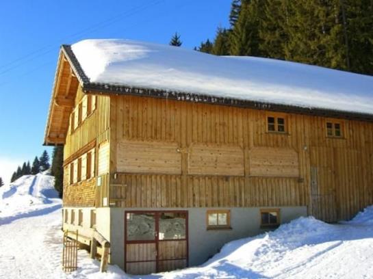 Hotel Panoramahuetten Sonderdach 4