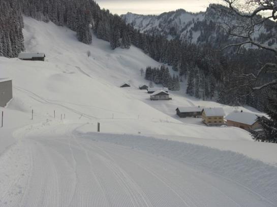 Hotel Panoramahuetten Sonderdach 5