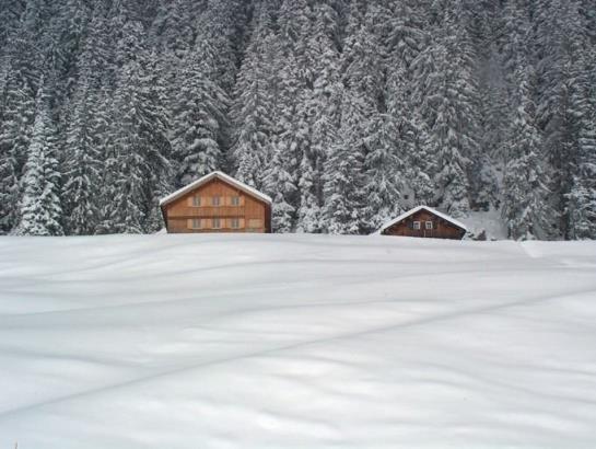 Hotel Panoramahuetten Sonderdach 7