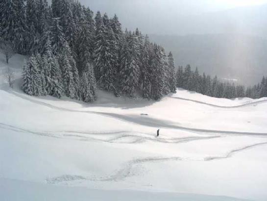 Hotel Panoramahuetten Sonderdach 8