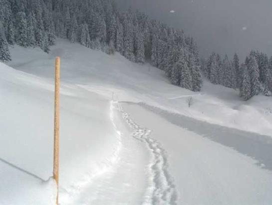 Hotel Panoramahuetten Sonderdach 9