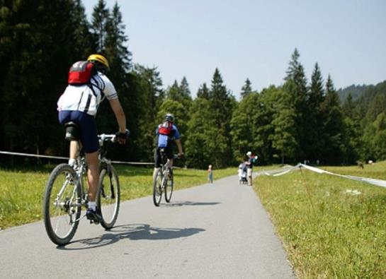 Pension Gasthof Ochsen