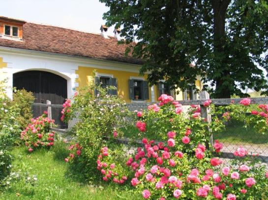 Bauernhof Ablasser 5