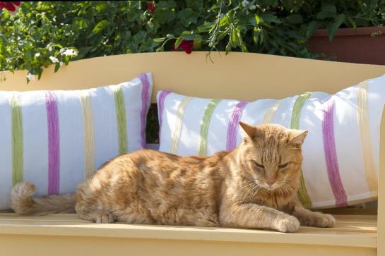 Hotel Das Mittelpunkt