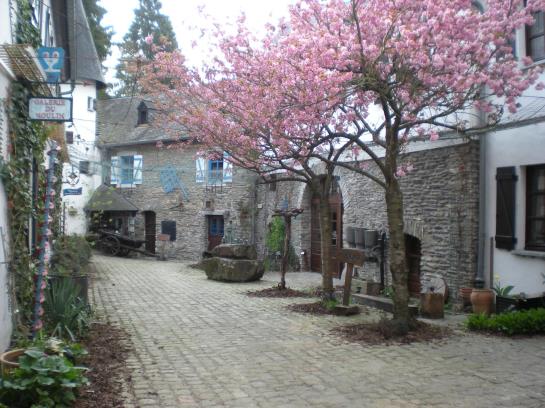 Hôtel Domaine Du Moulin D'asselborn 17