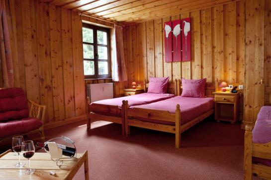 Hôtel Domaine Du Moulin D'asselborn 4