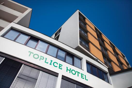 Hôtel Toplice 19