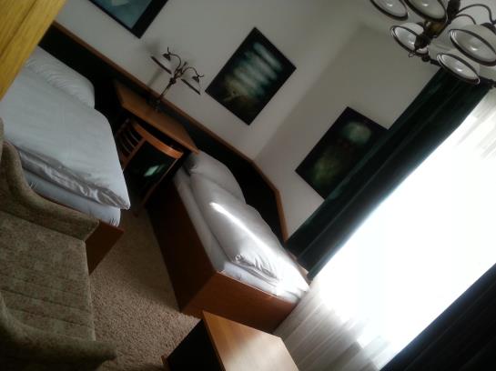 Antik Hotel Sofia Litomysl 2