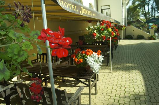 Hotel Jedlina 17