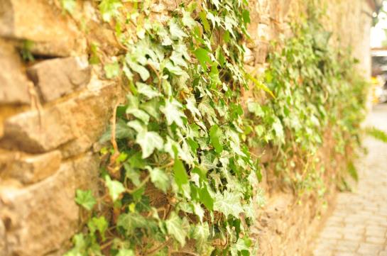 Boutique Hotel Villa P