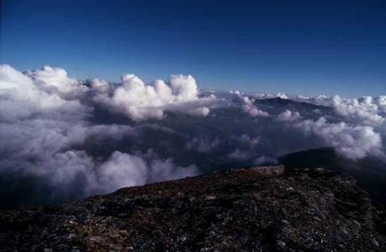Pension (Hôtel basse catégorie) Alte-stube Gasthof